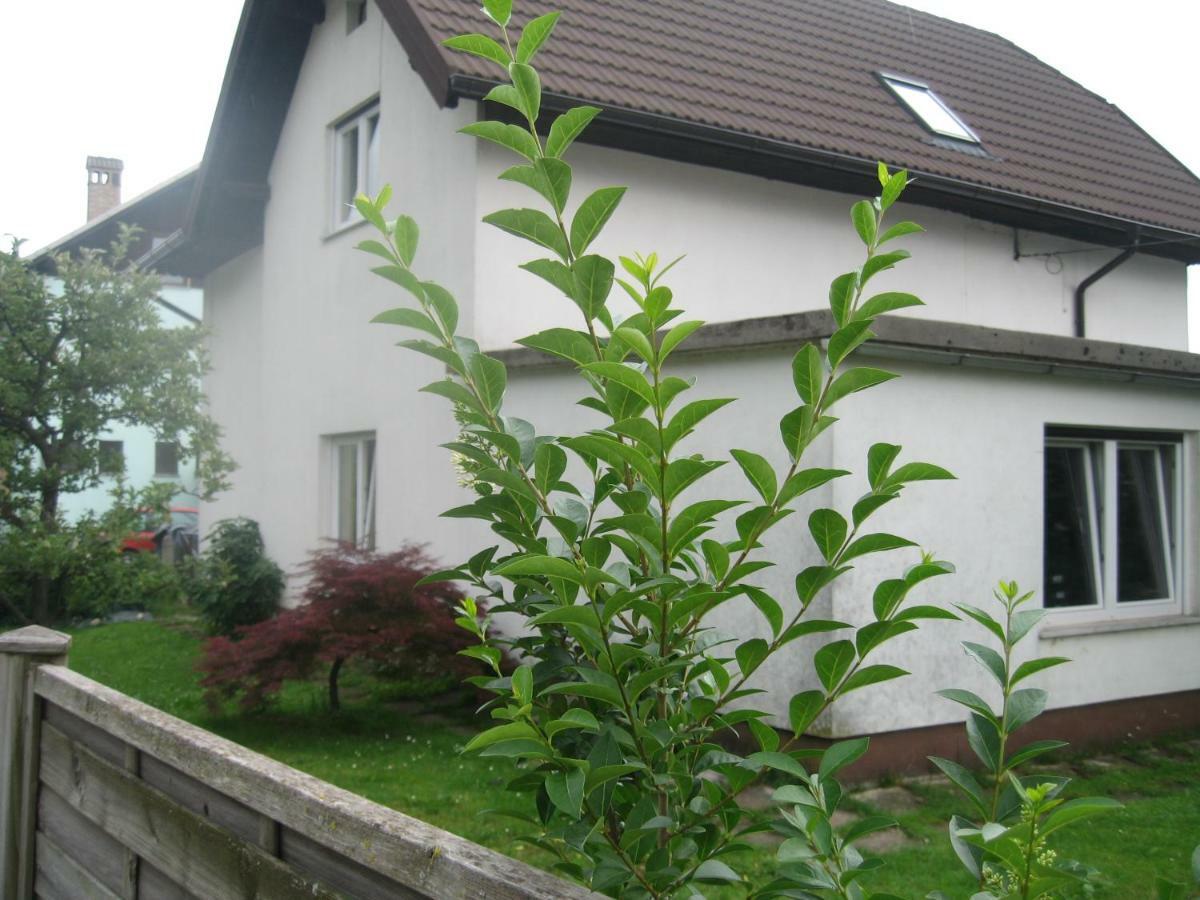 R&G Apartment Zirovnica Exterior foto