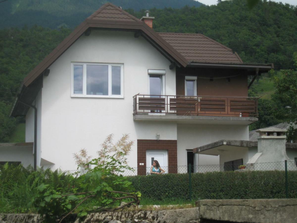 R&G Apartment Zirovnica Exterior foto